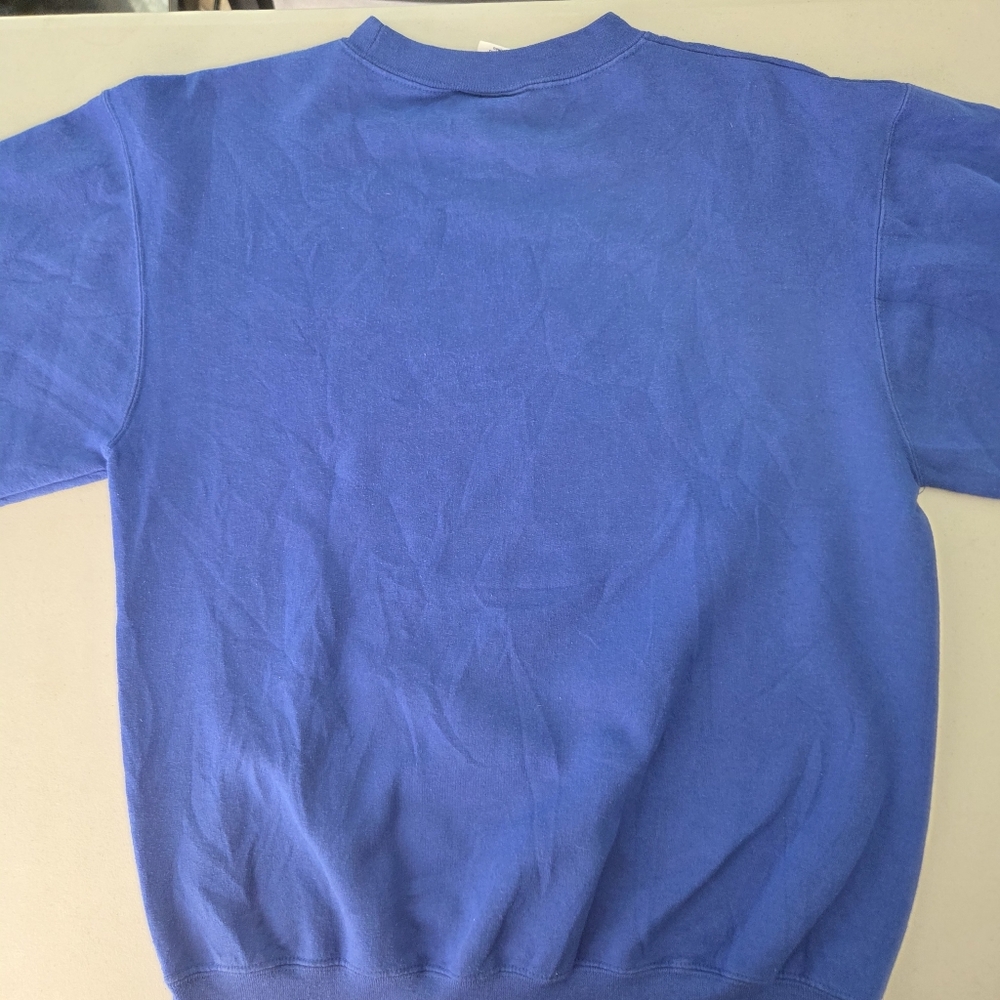 Champion Mens Florida Gators Graphic Crewneck Sweatshirt College Vintage Style - Picture 7 of 9